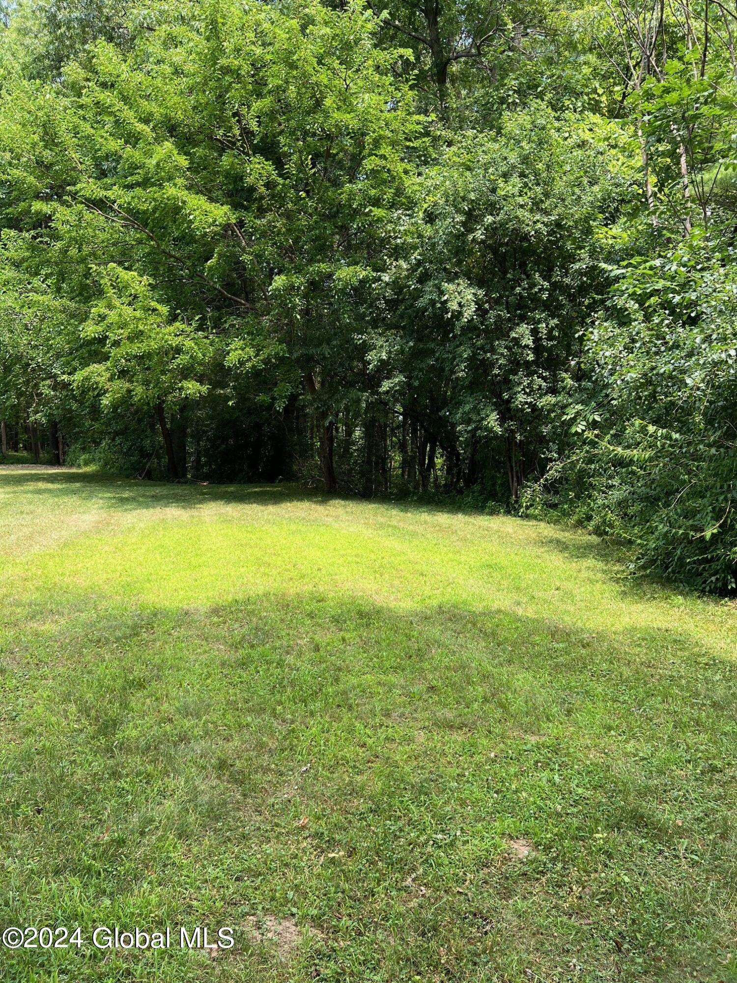 backyard 2