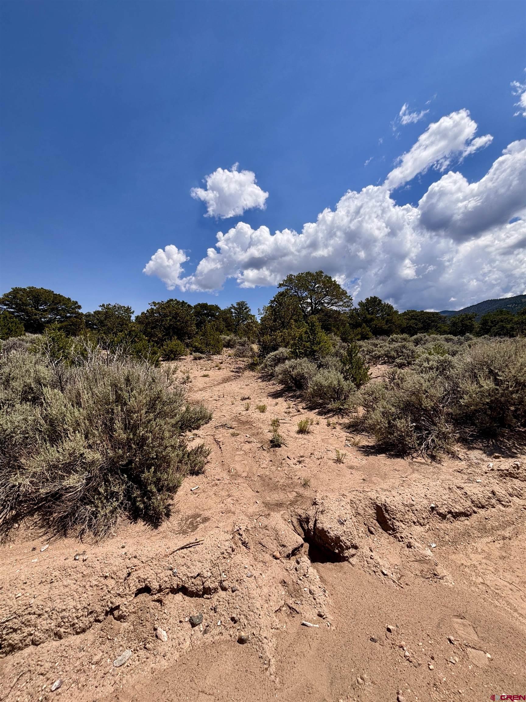 1134 Jorgulesco Road Fort Garland, CO 81133 - Photo 11 of 14 a view of a covered with snow in the yard