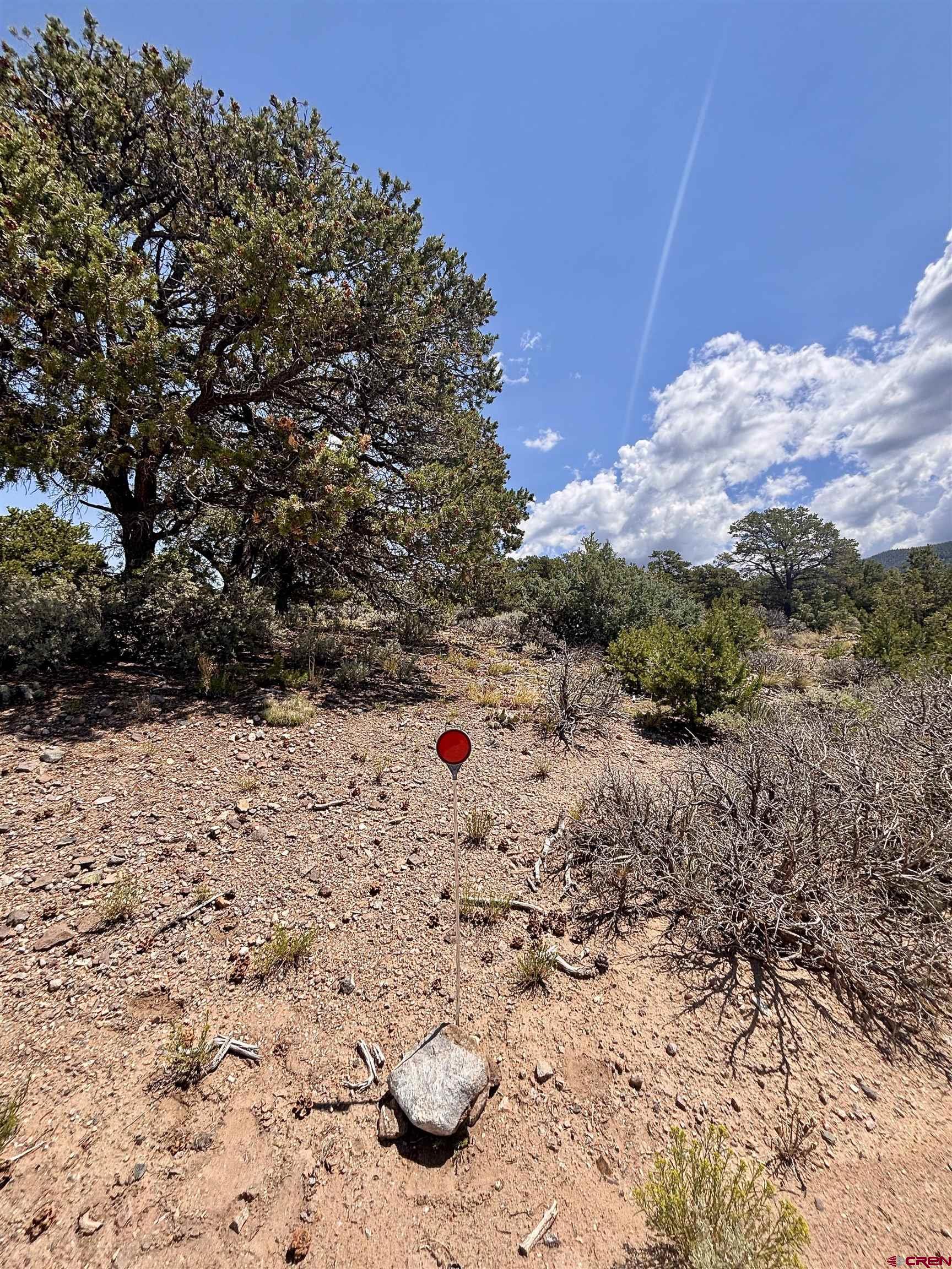 1134 Jorgulesco Road Fort Garland, CO 81133 - Photo 12 of 14 a view of a dry yard covered with snow in the outdoor space