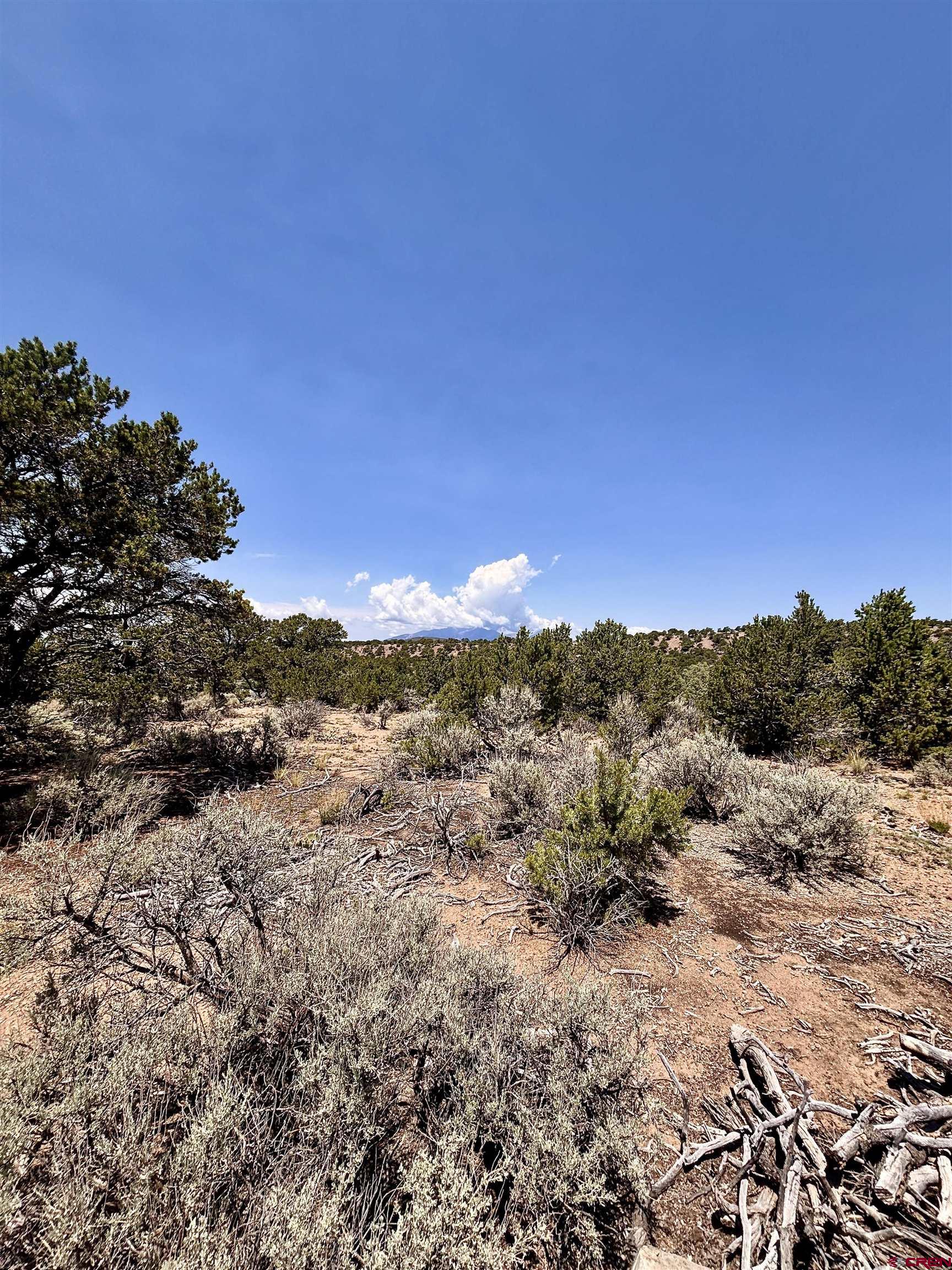 1134 Jorgulesco Road Fort Garland, CO 81133 - Photo 13 of 14 a view of a dry yard with mountains in the background