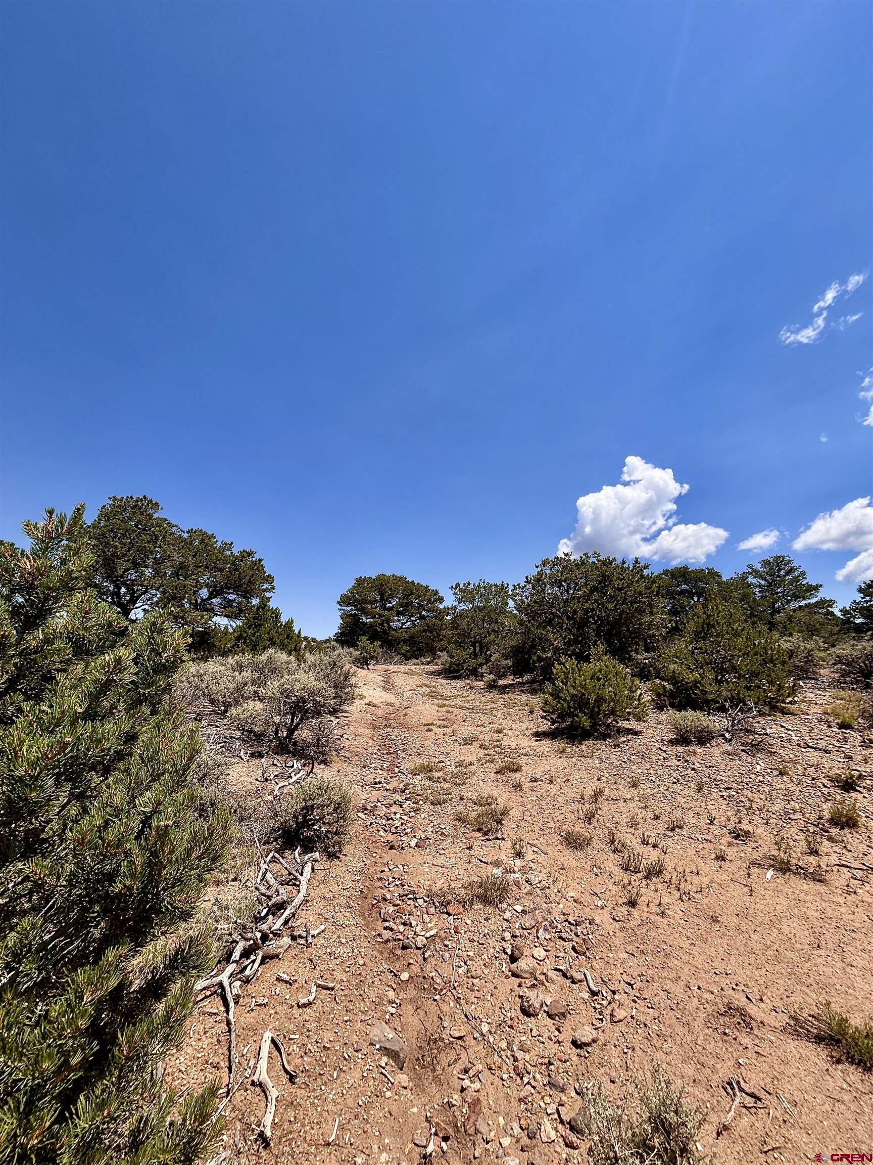 1134 Jorgulesco Road Fort Garland, CO 81133 - Photo 14 of 14 a view of a dry yard with a tree