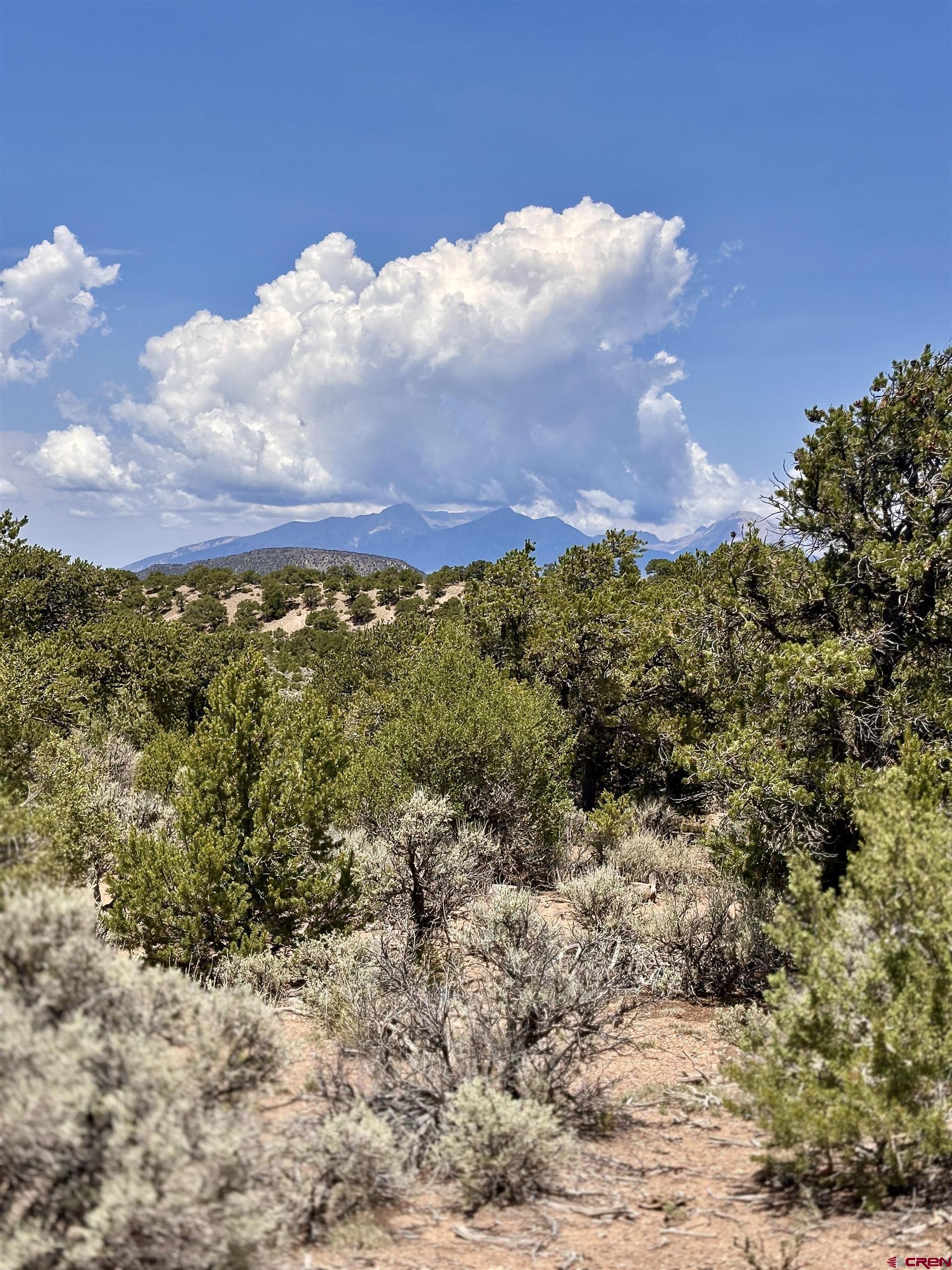 1134 Jorgulesco Road Fort Garland, CO 81133 - Photo 4 of 14 a view of a houses with sky view