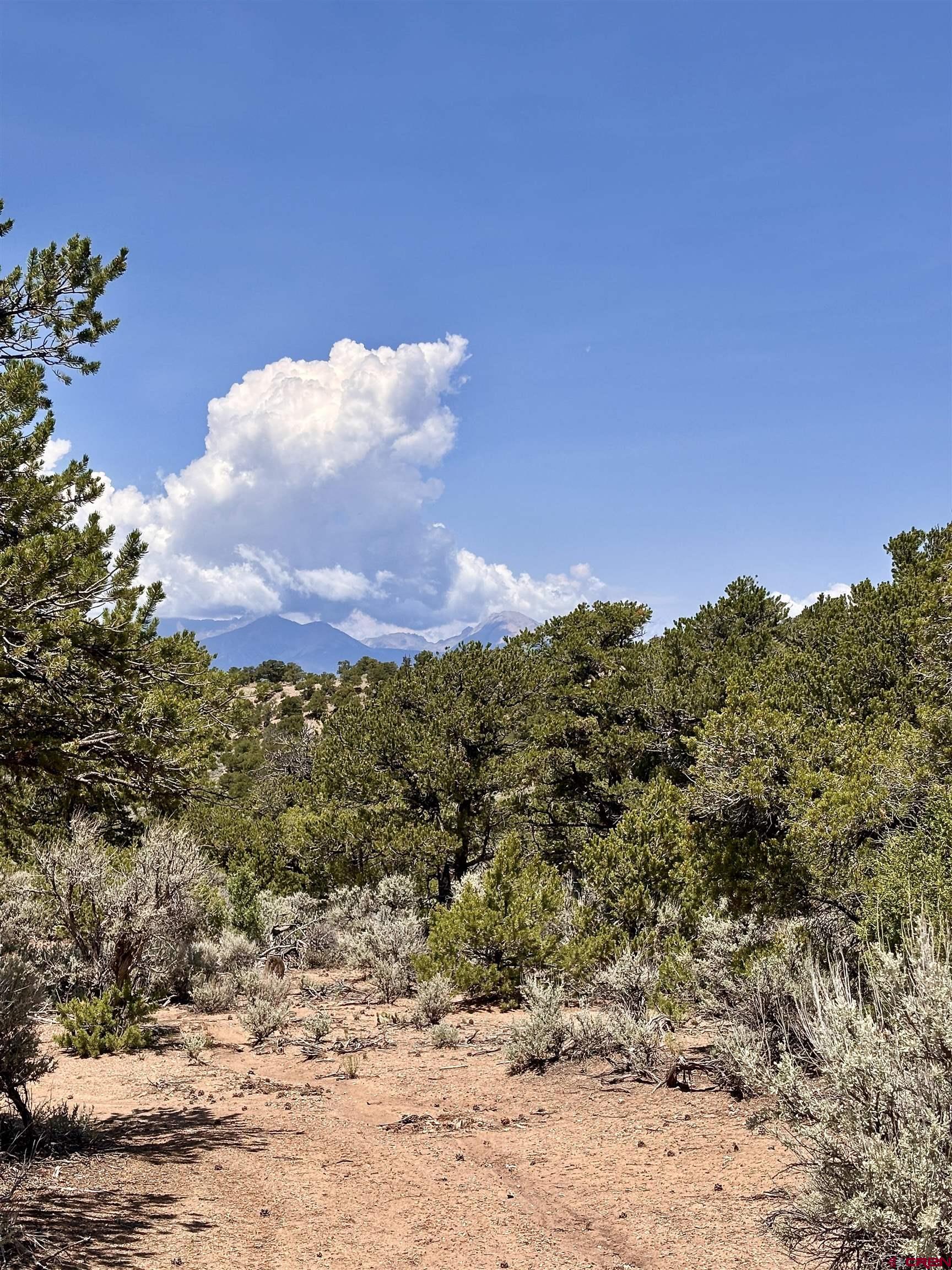 1134 Jorgulesco Road Fort Garland, CO 81133 - Photo 7 of 14 a view of a houses with a yard