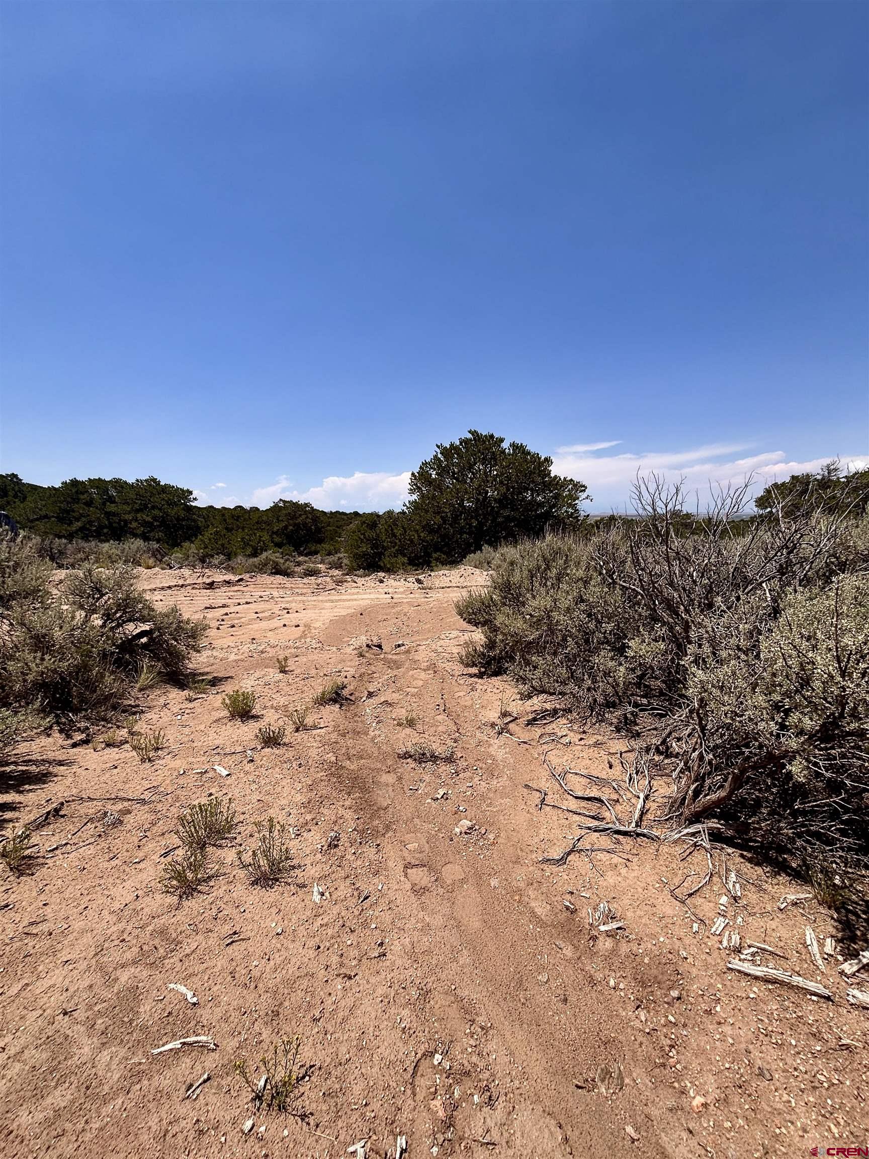 1134 Jorgulesco Road Fort Garland, CO 81133 - Photo 9 of 14 a view of ocean view with mountain