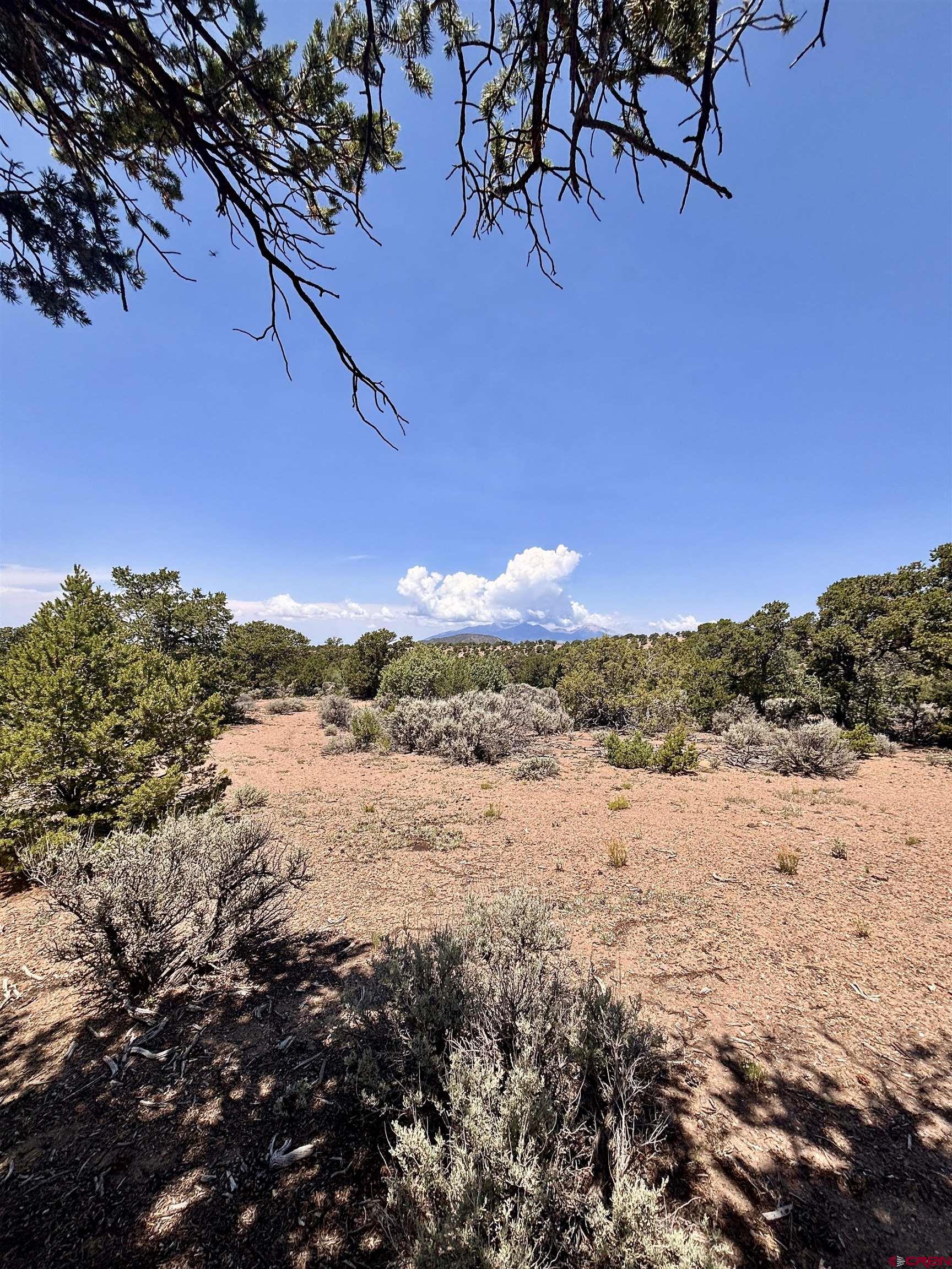 1134 Jorgulesco Road Fort Garland, CO 81133 - Photo 10 of 14 a view of ocean view with beach