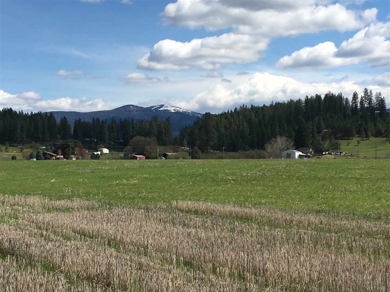 8704 East Big Meadows Road, Unit PARCEL C Colbert, WA 99005 - Photo 1 of 15