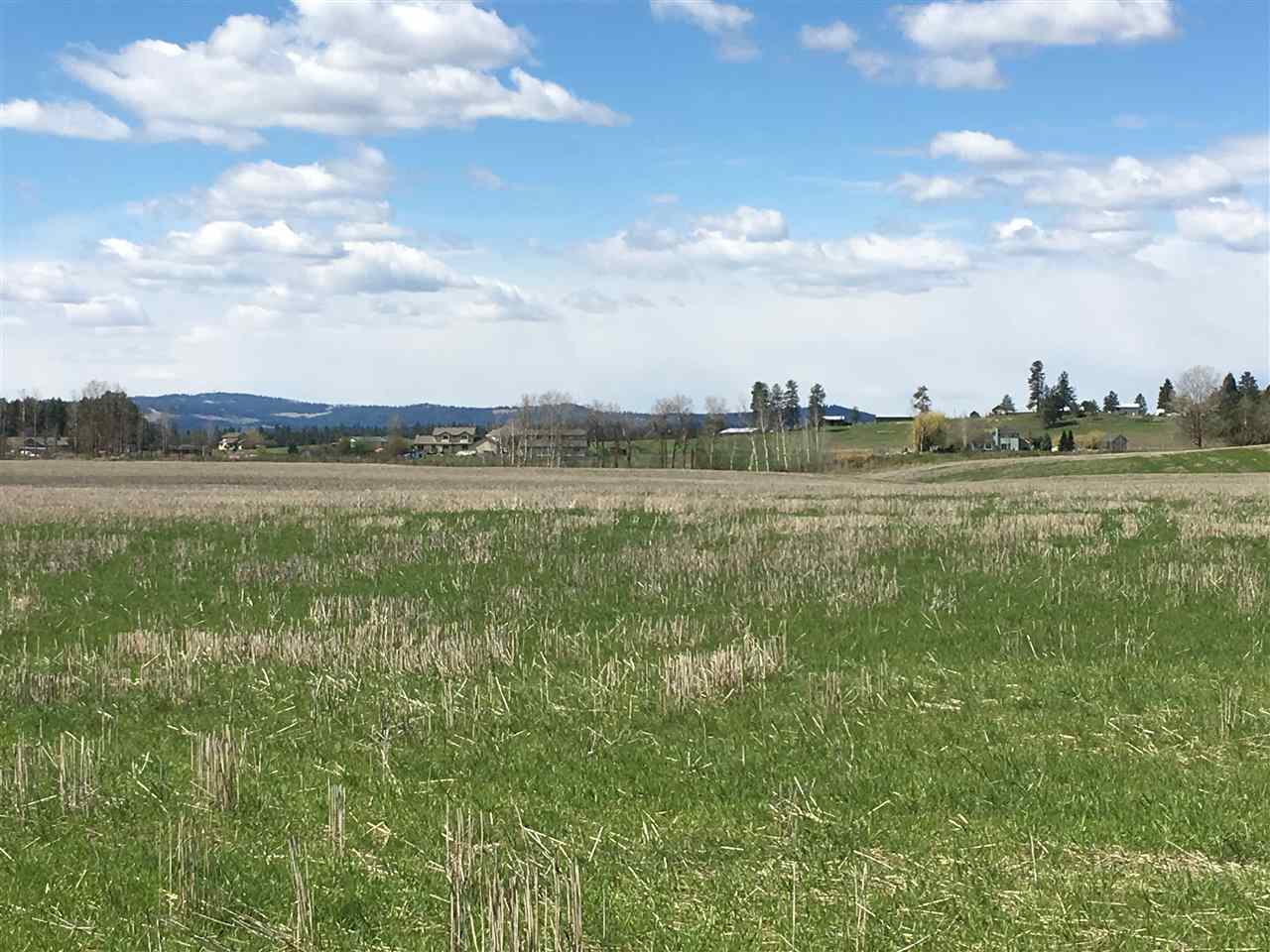 8704 East Big Meadows Road, Unit PARCEL C Colbert, WA 99005 - Photo 2 of 15
