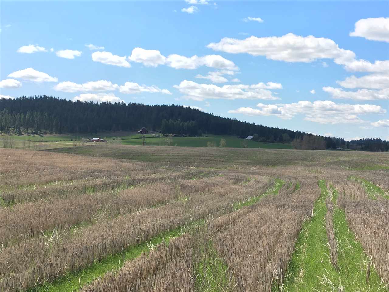 8704 East Big Meadows Road, Unit PARCEL C Colbert, WA 99005 - Photo 11 of 15