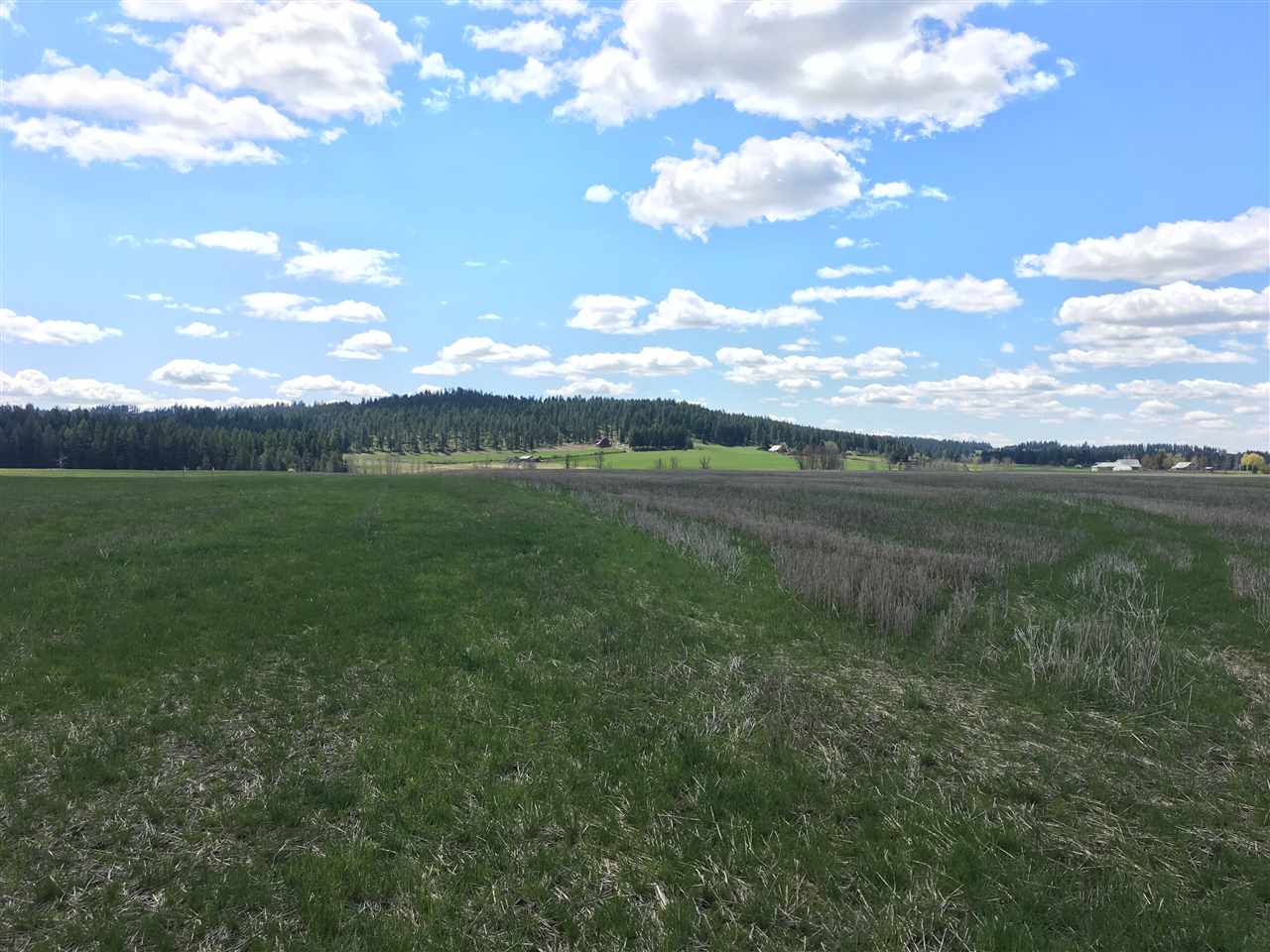 8704 East Big Meadows Road, Unit PARCEL C Colbert, WA 99005 - Photo 12 of 15