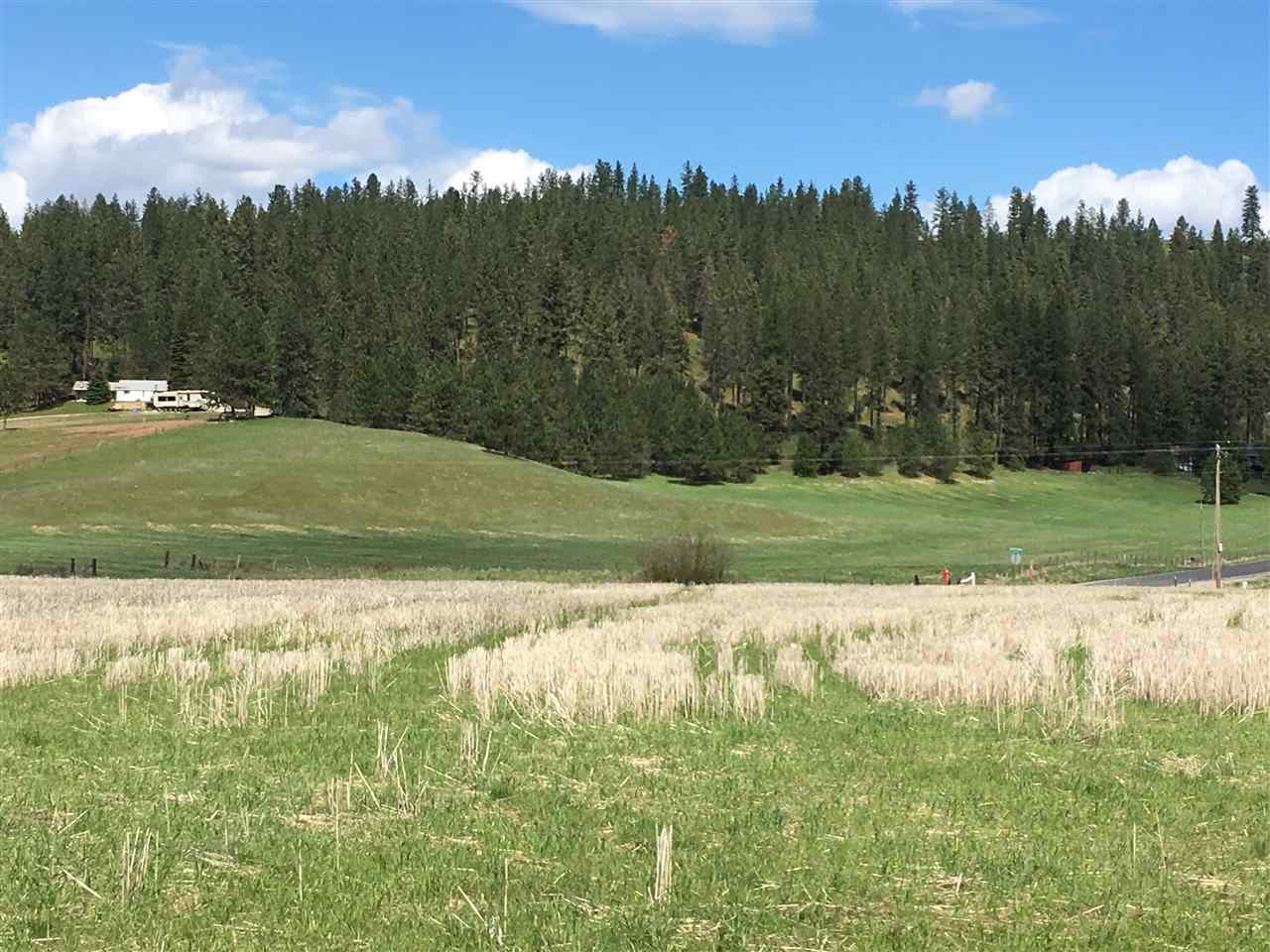 8704 East Big Meadows Road, Unit PARCEL C Colbert, WA 99005 - Photo 3 of 15