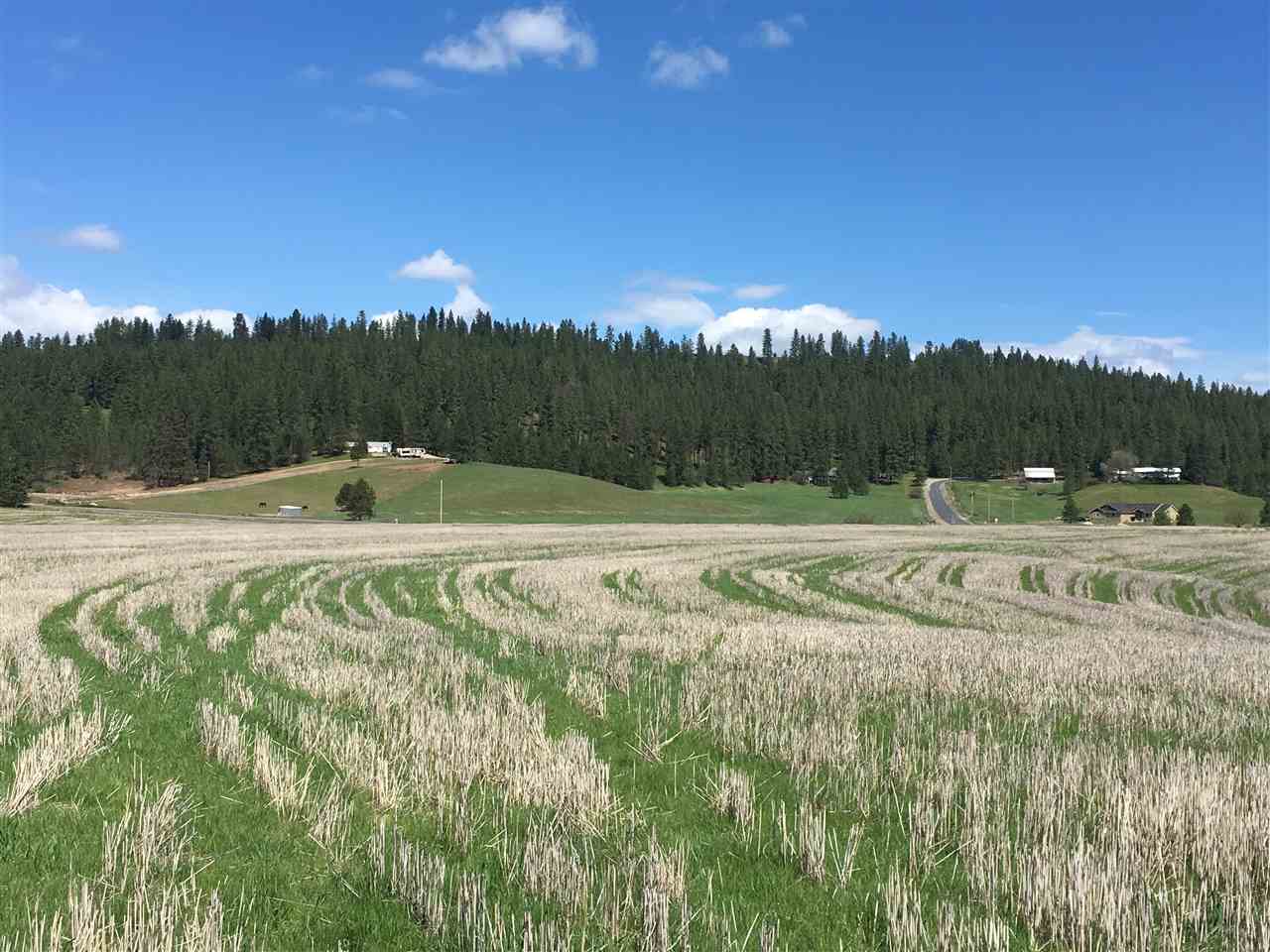 8704 East Big Meadows Road, Unit PARCEL C Colbert, WA 99005 - Photo 4 of 15