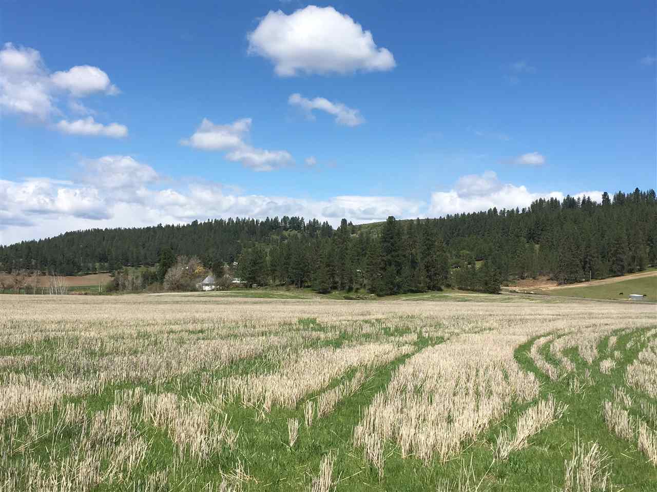 8704 East Big Meadows Road, Unit PARCEL C Colbert, WA 99005 - Photo 5 of 15