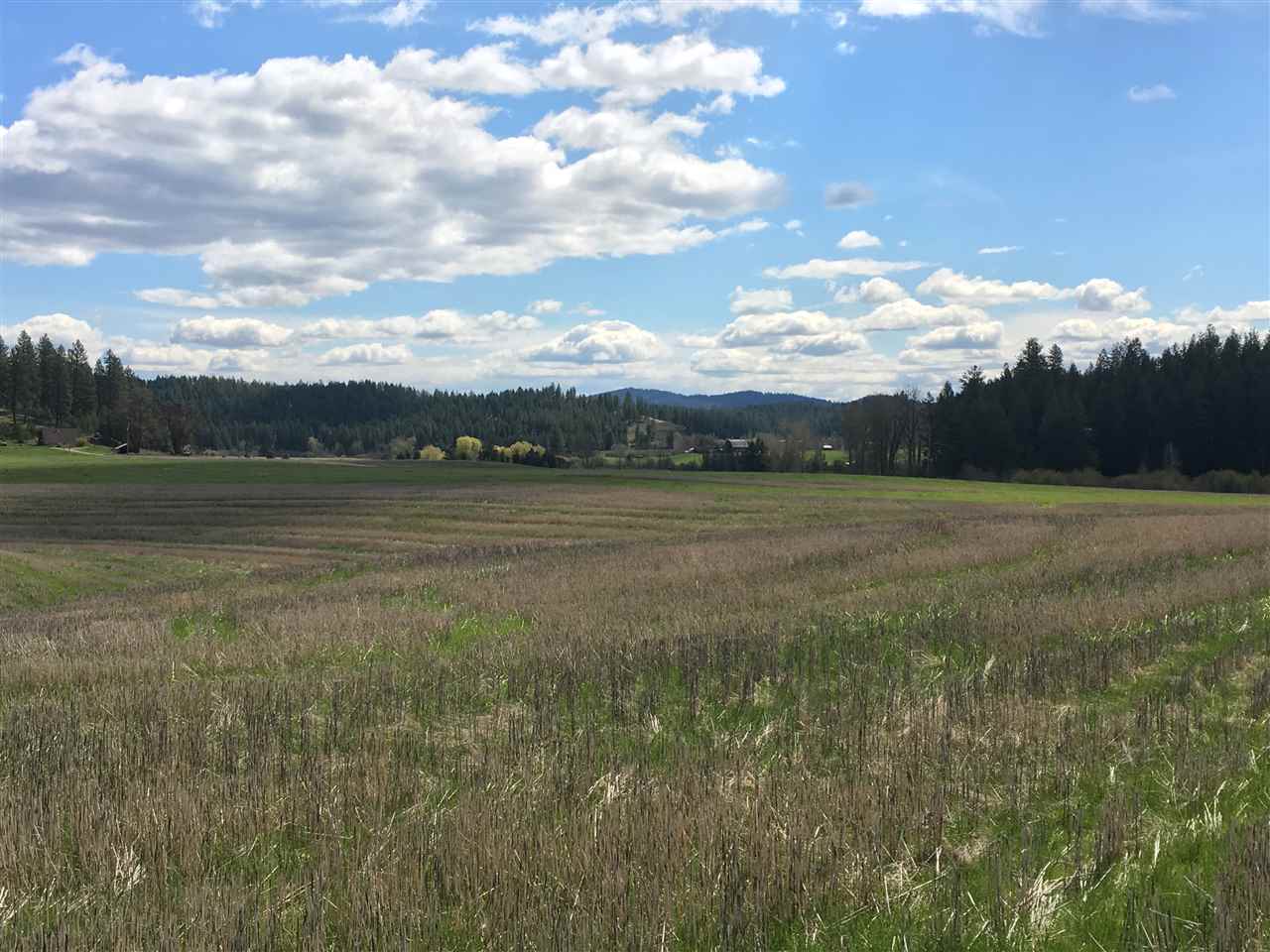 8704 East Big Meadows Road, Unit PARCEL C Colbert, WA 99005 - Photo 6 of 15