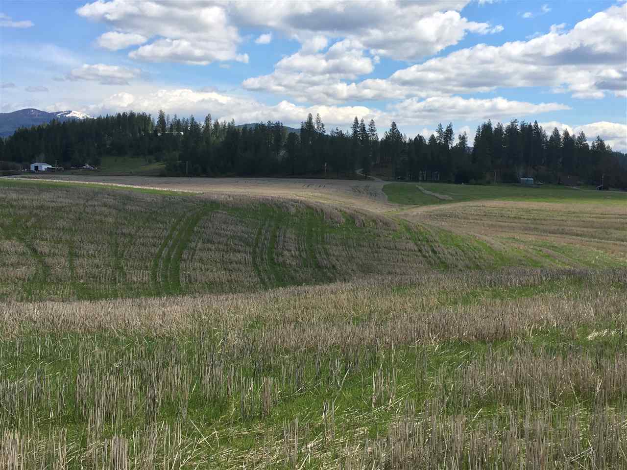 8704 East Big Meadows Road, Unit PARCEL C Colbert, WA 99005 - Photo 7 of 15