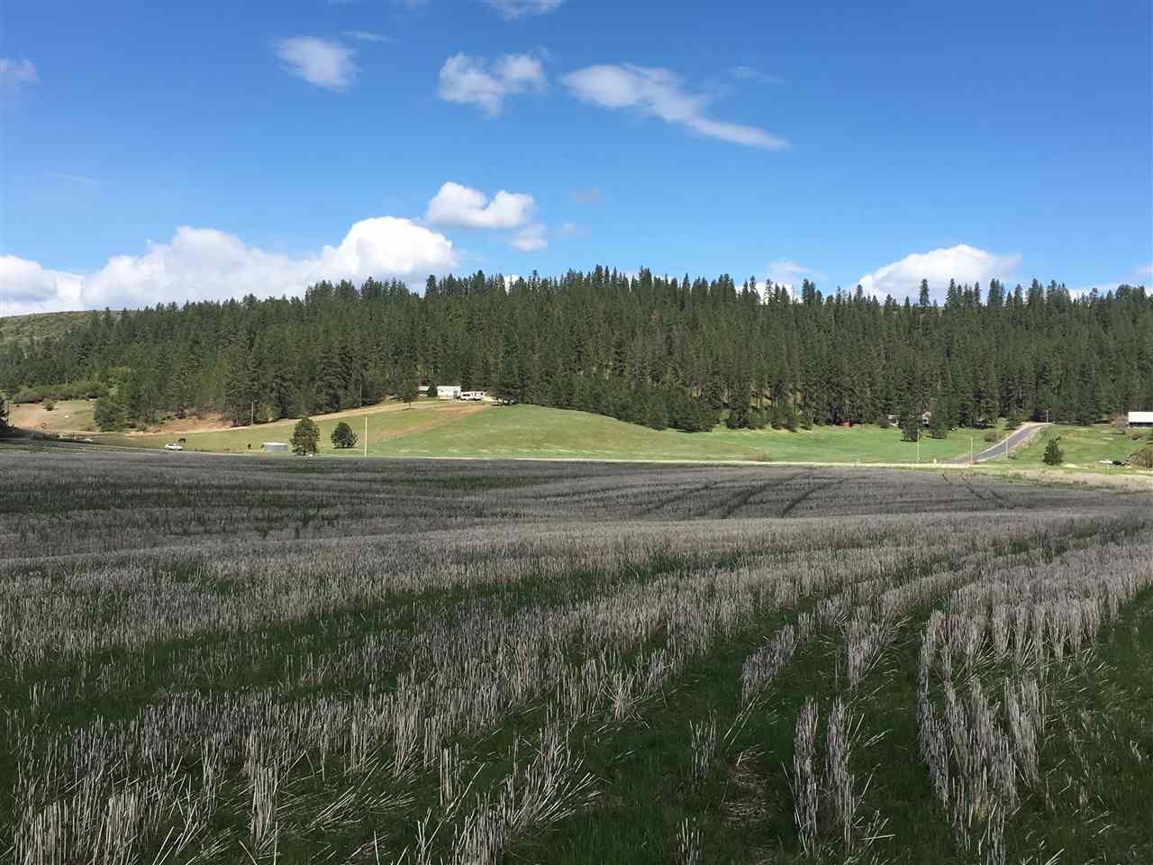 8704 East Big Meadows Road, Unit PARCEL C Colbert, WA 99005 - Photo 8 of 15