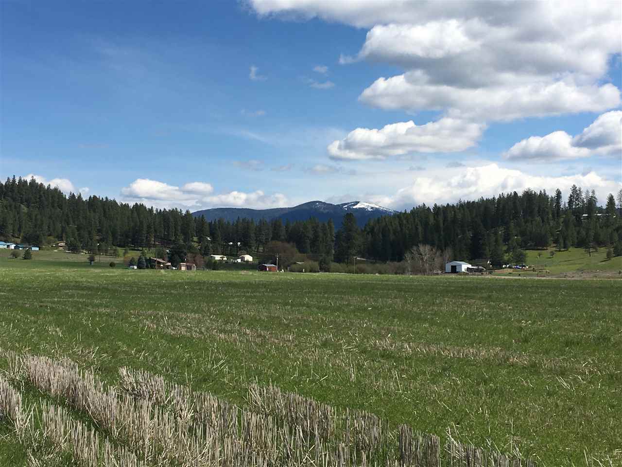 8704 East Big Meadows Road, Unit PARCEL C Colbert, WA 99005 - Photo 10 of 15