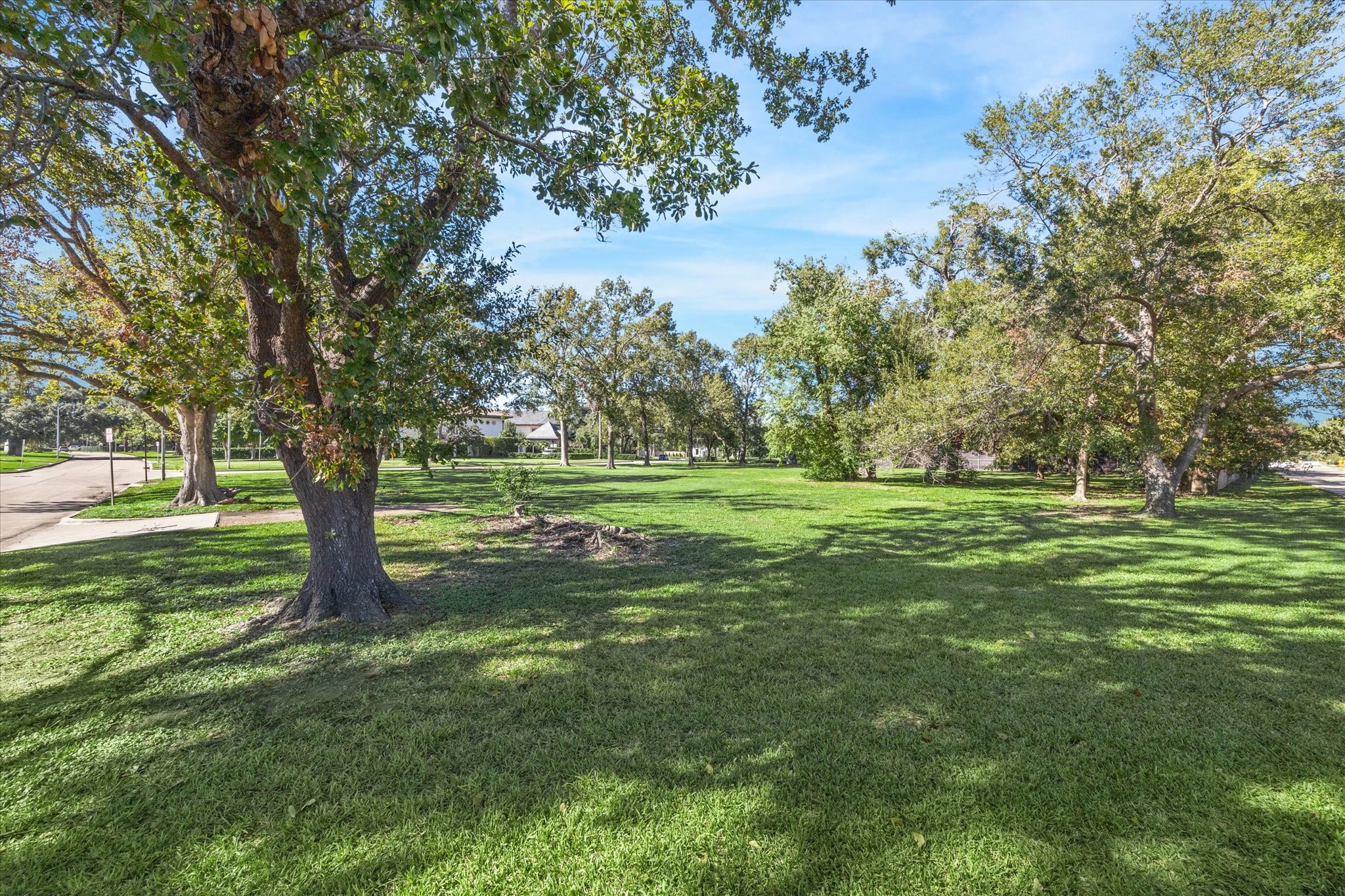 a view of a grassy field with trees in the background