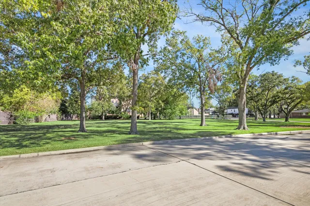 a view of a park with large trees