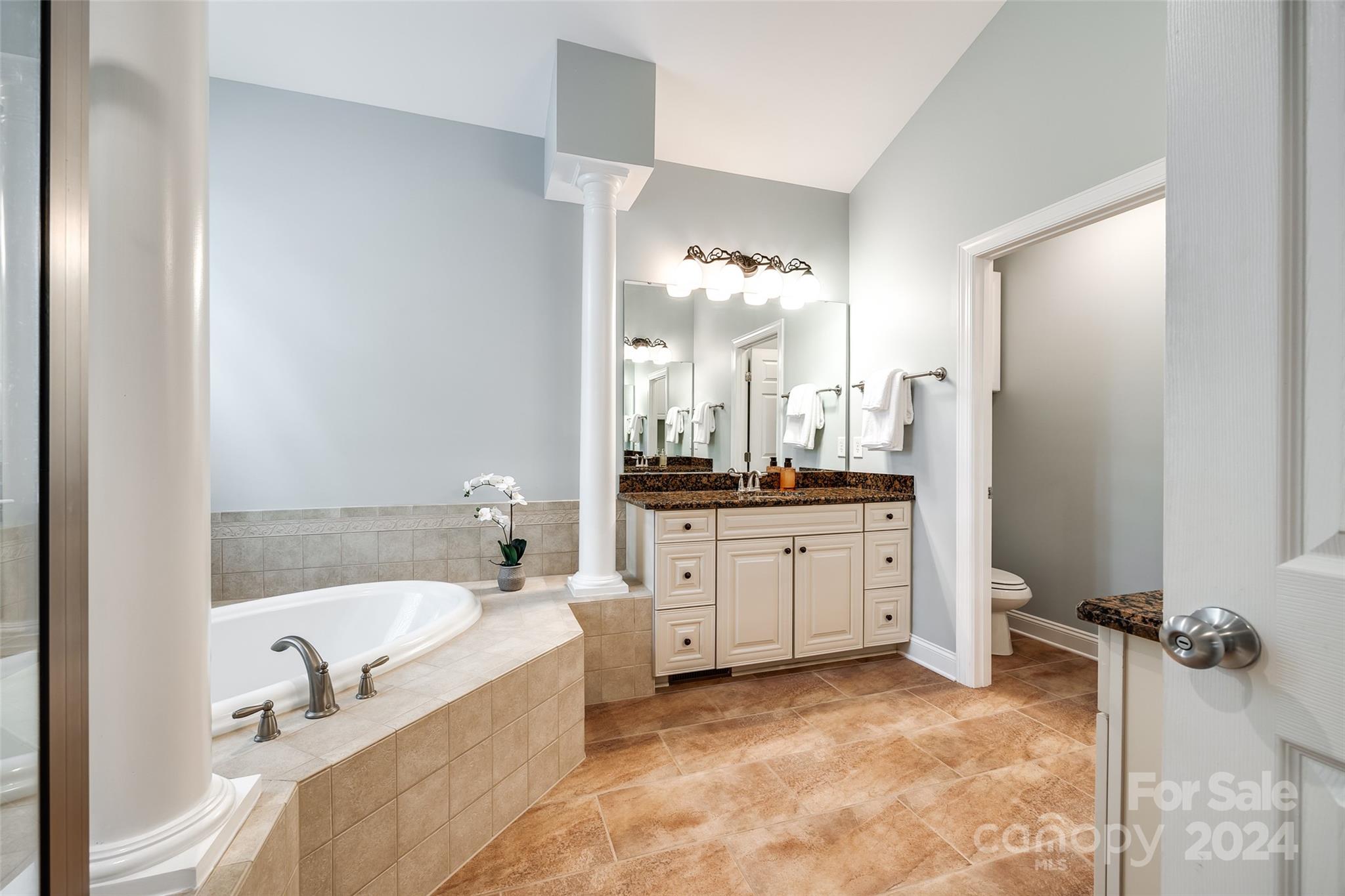 352 Calming Way Tega Cay, SC 29708 - Photo 25 of 48 a bathroom with a granite countertop tub sink and mirror