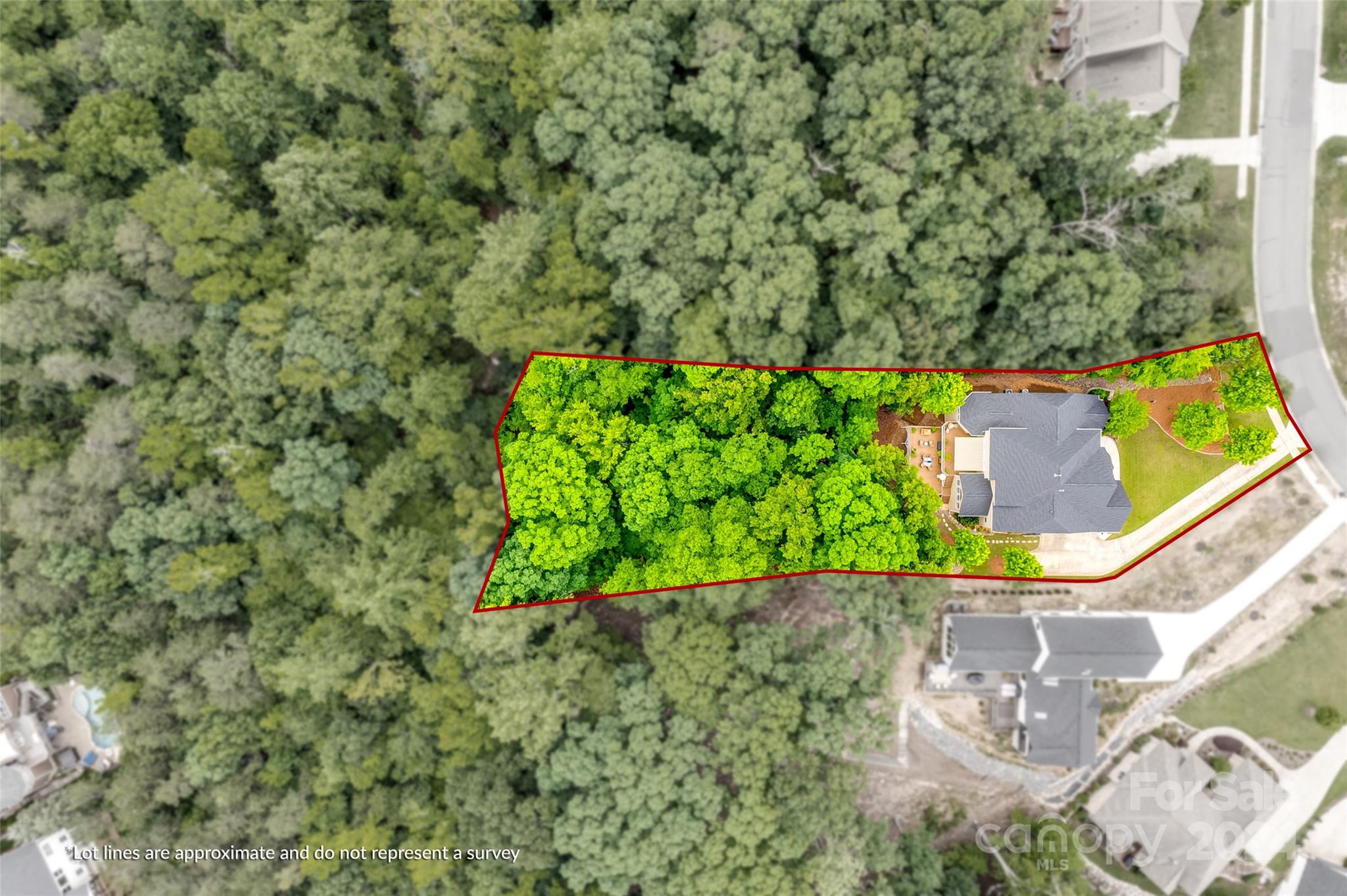 352 Calming Way Tega Cay, SC 29708 - Photo 47 of 48 an aerial view of a house
