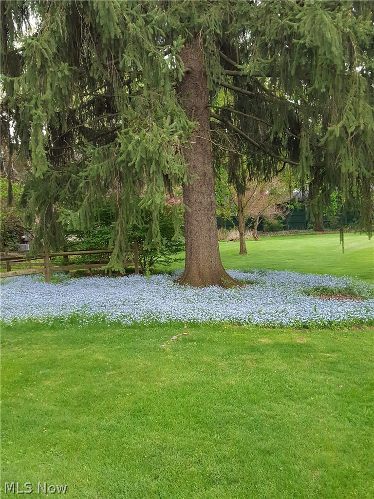 2980 Pontius Road Uniontown, OH 44685 - Photo 3 of 32 What wonderful colors this yard offers in the Spring!