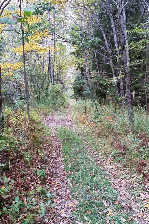 0 Old Mclellan Road South China, ME 04358 - Photo 7 of 10 Path/narrow road through property