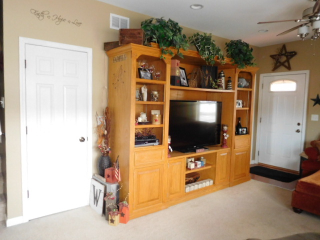 402 East Harrison Street Ransom, IL 60470 - Photo 3 of 47