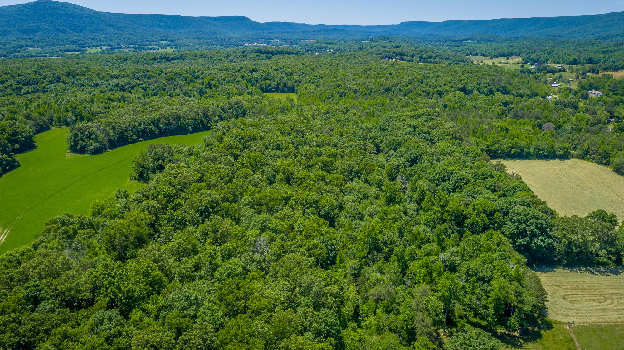 1655 West Cove Road Chickamauga, GA 30707 - Photo 10 of 62 1655 W Cove Road HD-22
