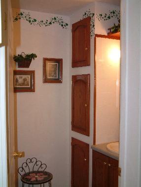 317 Clinton Street Mendon, MI 49072 - Photo 11 of 13 Additional Photo