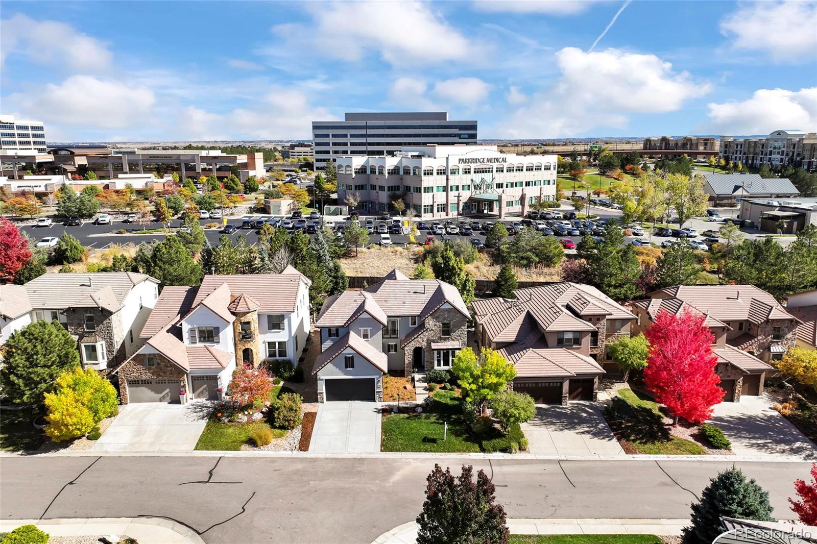 9766 Sunset Hill Circle Lone Tree, CO 80124 - Photo 4 of 47