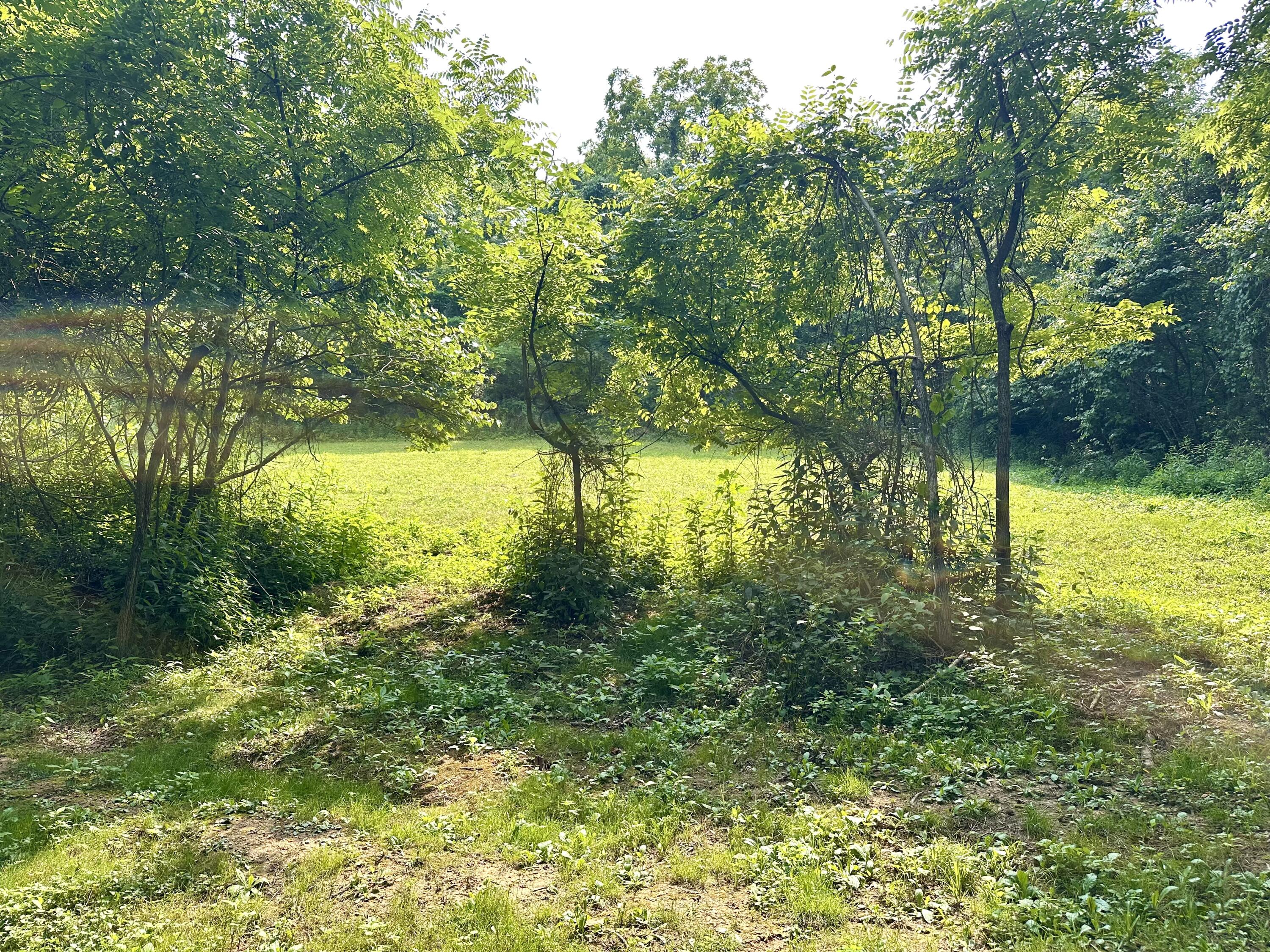 1 A Concord Road Carlisle, KY 40311 - Photo 3 of 16 IMG_2169