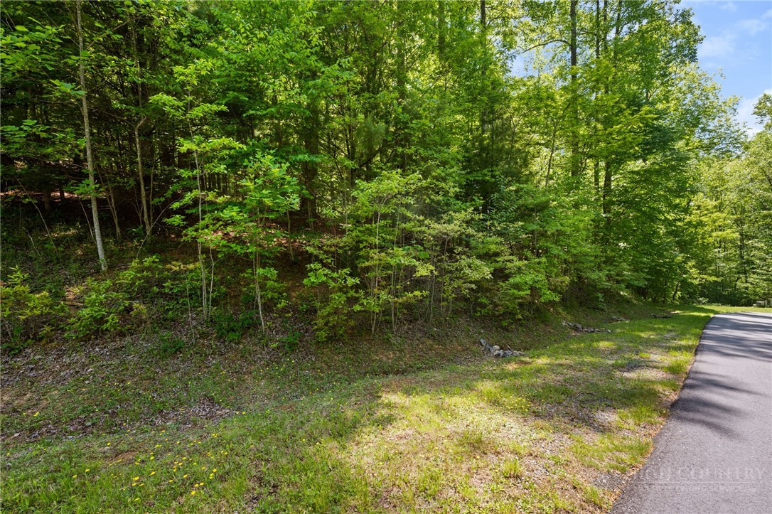 Rivers Street Boone, NC 28607 - Photo 16 of 16