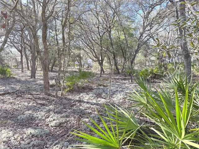 a view of a house with a yard and tree s
