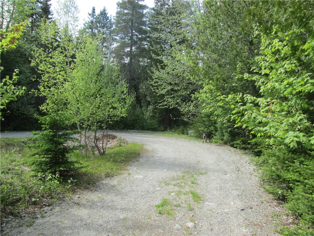7 South Road Lamoine, ME 04605 - Photo 3 of 8 Photo