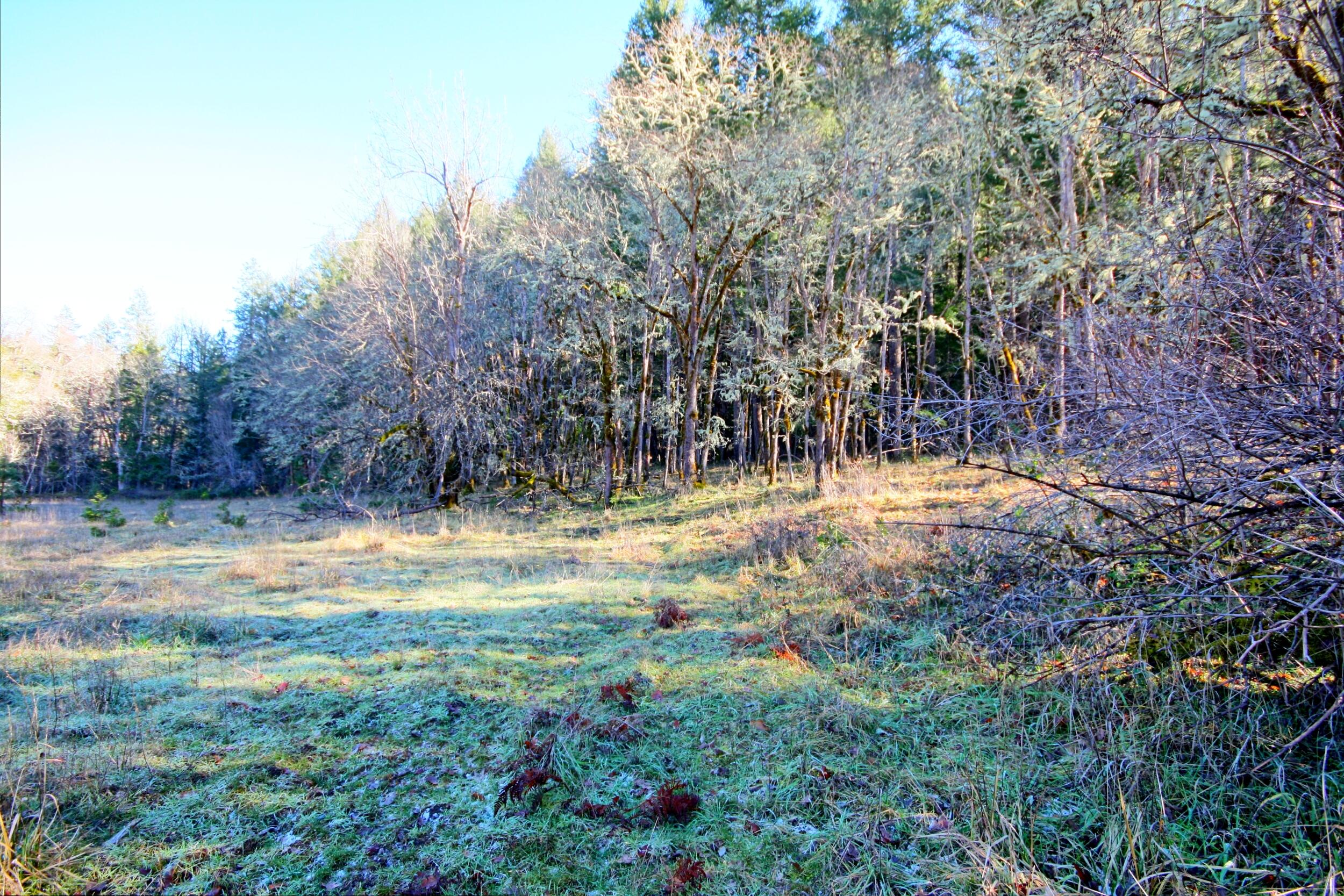 5000 Thompson Creek Road Jacksonville, OR 97530 - Photo 18 of 71 IMG_8866_7_8_easyHDR