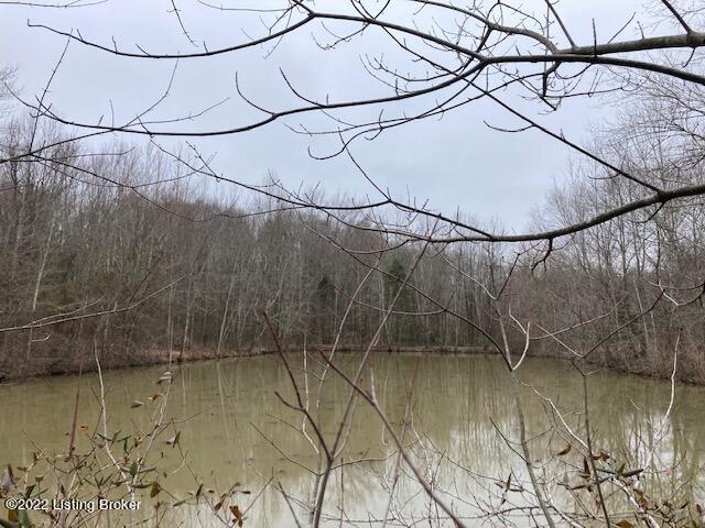 3567 Nelsonville Road Boston, KY 40107 - Photo 4 of 4 NELSONVILLE POND 3