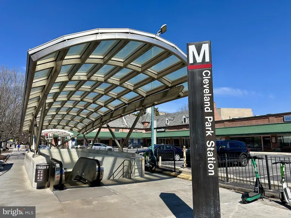a view of a tree with a backyard