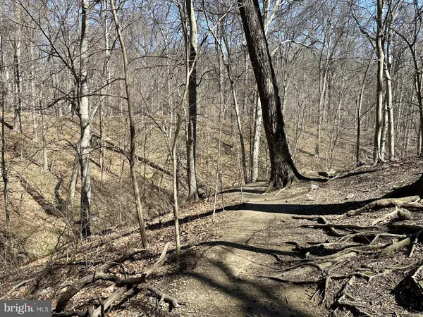 a view of an outdoor space