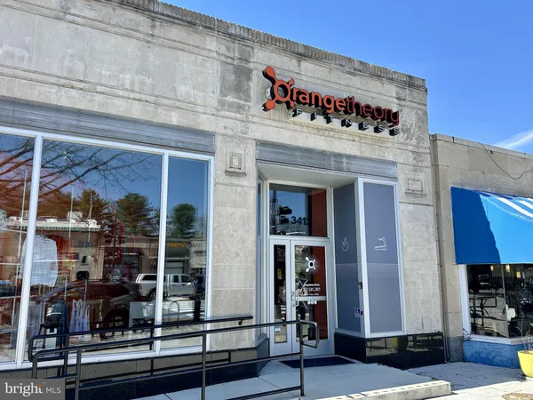 a living room with fireplace furniture and a potted plant
