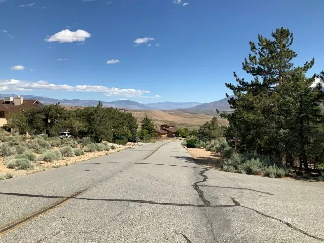 a view of a road with an trees