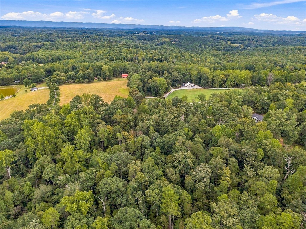 0 Lenhardt Road Easley, SC 29640 - Photo 5 of 11 Lush forested hillsides stretch toward the horizon under a clear blue sky.
