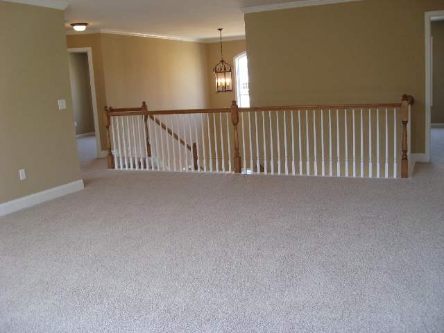 401 Rivanna Lane Greenville, SC 29607 - Photo 11 of 18 Gallery Image 11