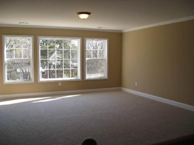 401 Rivanna Lane Greenville, SC 29607 - Photo 12 of 18 Gallery Image 12