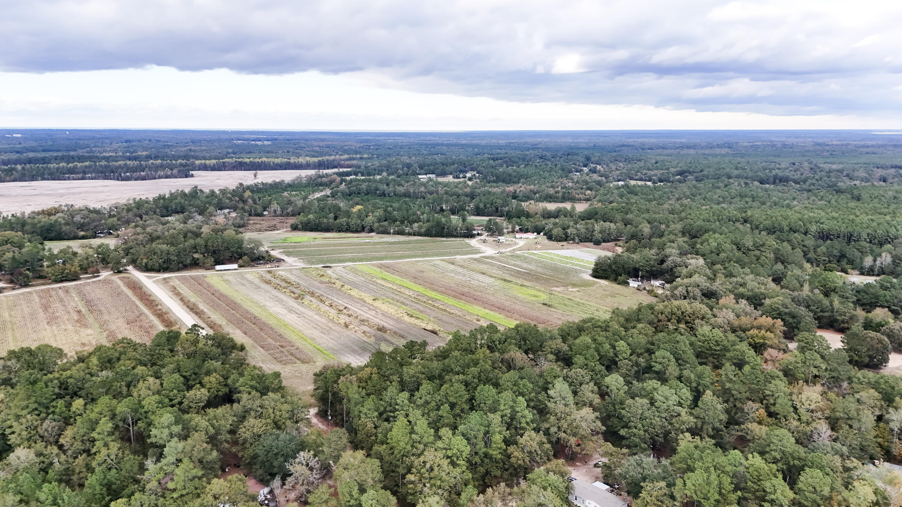 0 Chavis Road Blackville, SC 29817 - Photo 9 of 22 26-DJI_20251031045609_0246_D