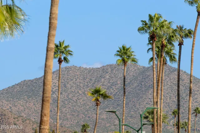 a kitchen with granite countertop cabinets sink and window