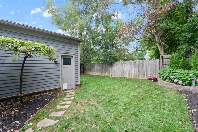 a view of a backyard with plants and a large tree