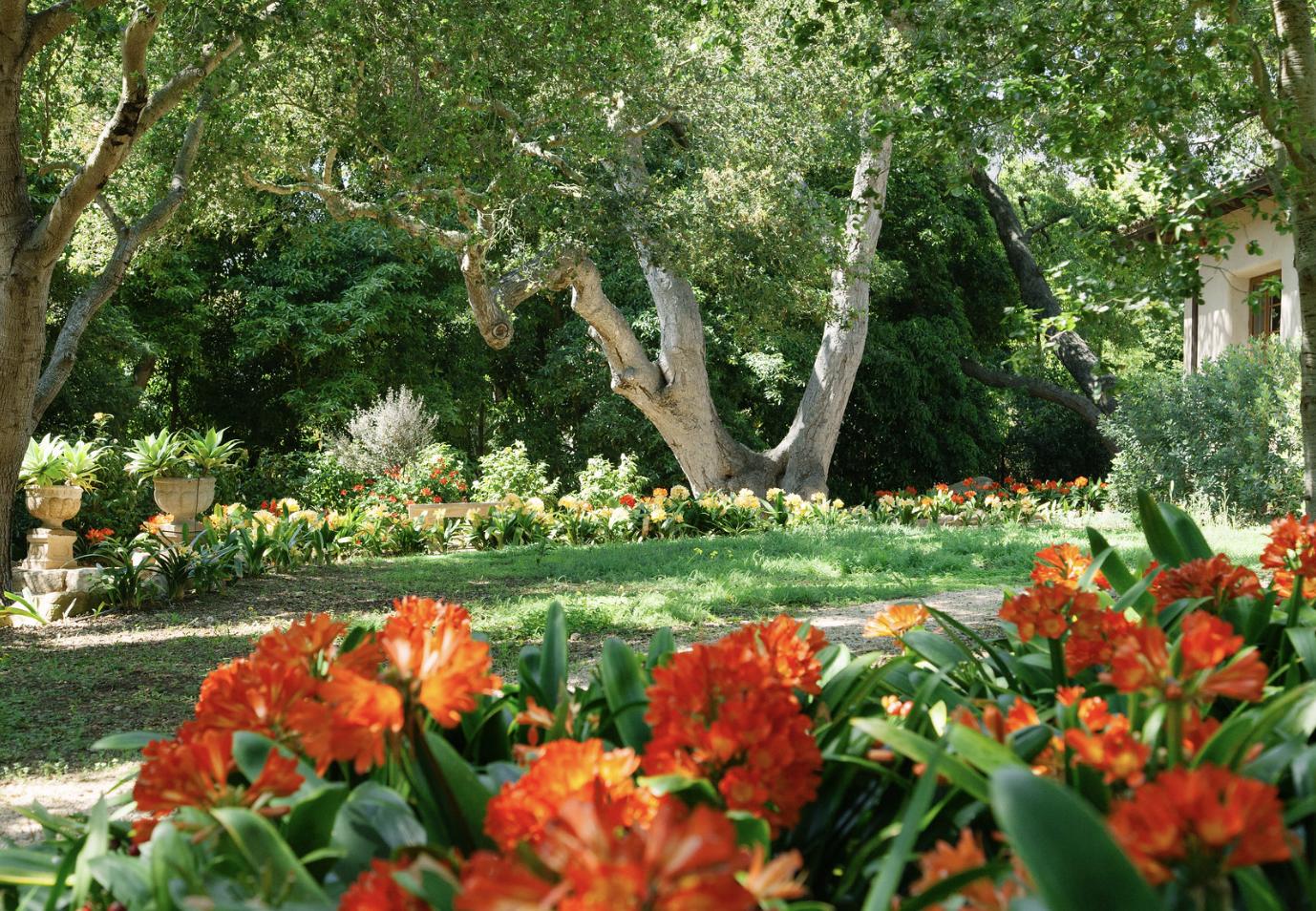 854 Rockbridge Road Santa Barbara, CA 93108 - Photo 31 of 34 a view of a park with large trees