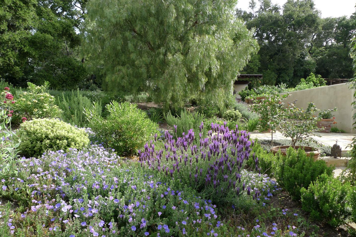 854 Rockbridge Road Santa Barbara, CA 93108 - Photo 32 of 34 a view of a garden with plants and large trees