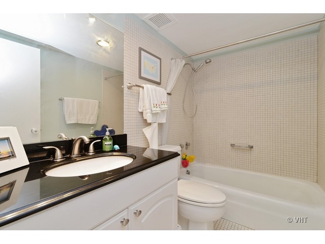 175 East Delaware Place, Unit 7007 Chicago, IL 60611 - Photo 8 of 9