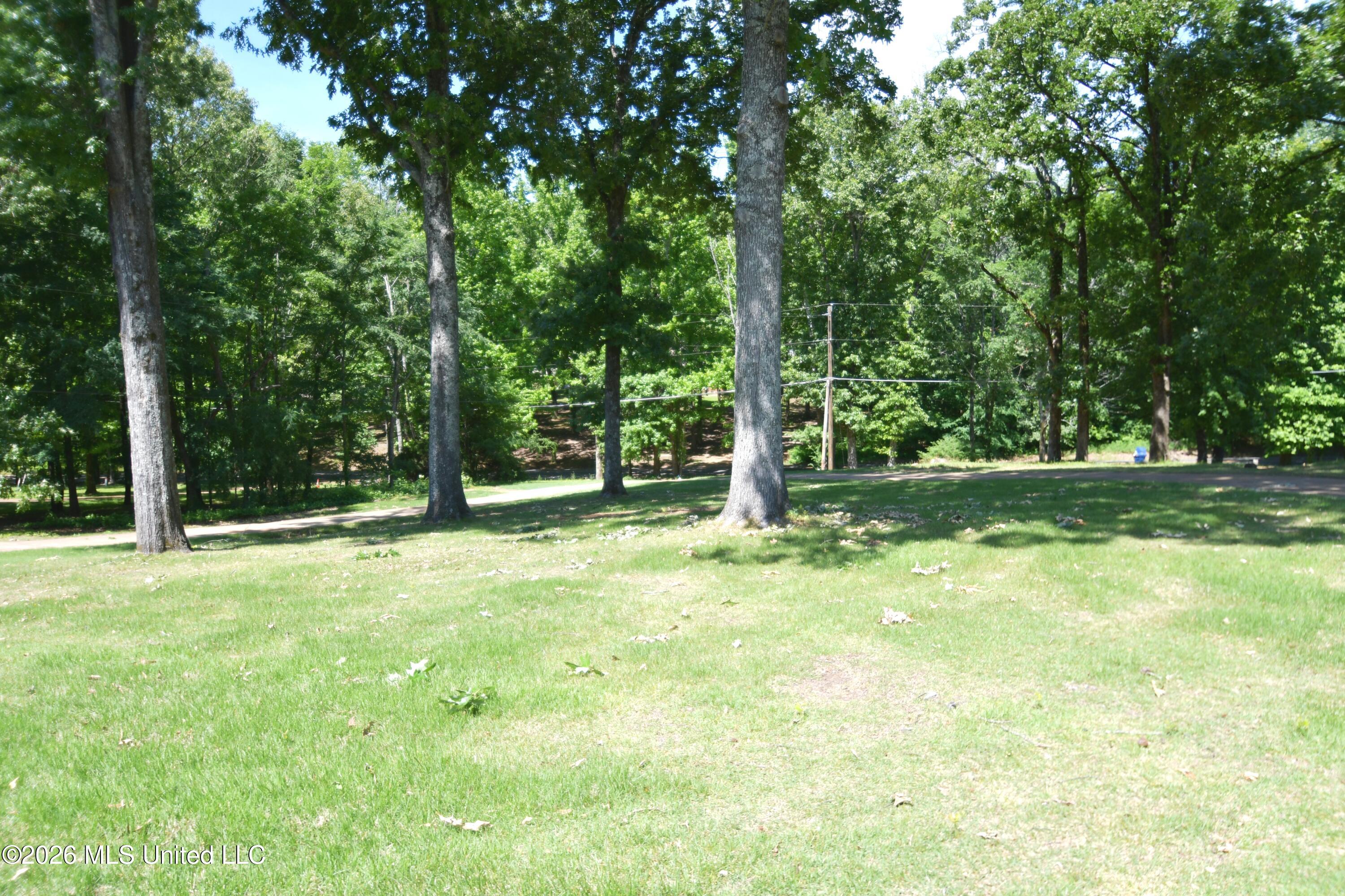 1780 Malone Road Nesbit, MS 38651 - Photo 23 of 31 Front Yard